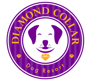 Logo Design by TSEdesign for this project | Design: #4158612