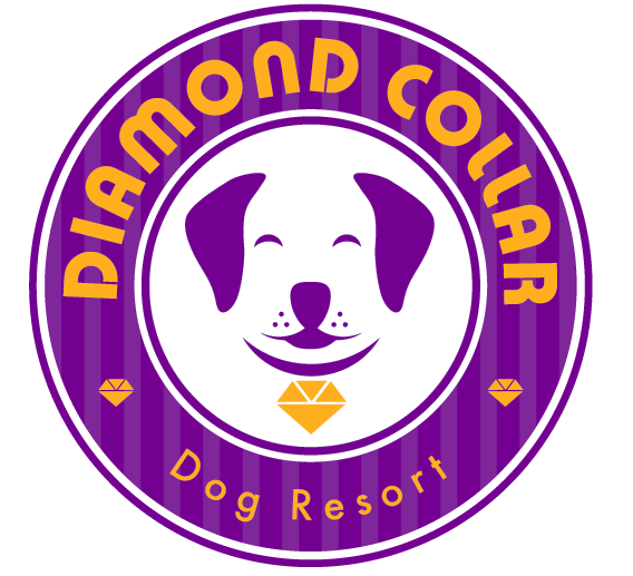 Logo Design by TSEdesign for this project | Design #4158619