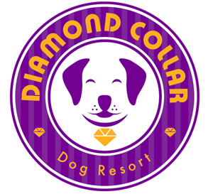 Logo Design by TSEdesign for this project | Design: #4158619