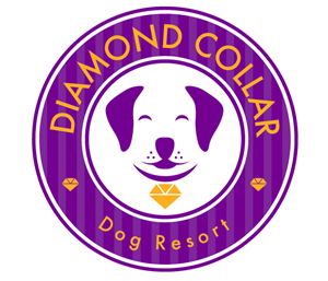 Logo Design by TSEdesign