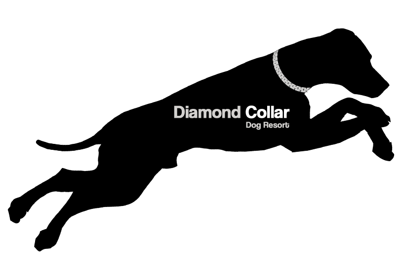 Logo Design by Bravia for this project | Design #4161265