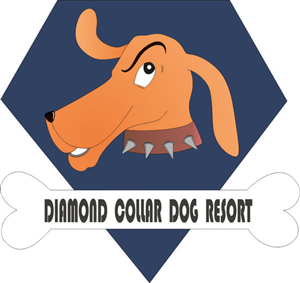 Diseño de Logo por Acetrik para este proyecto | Diseño #4141454
