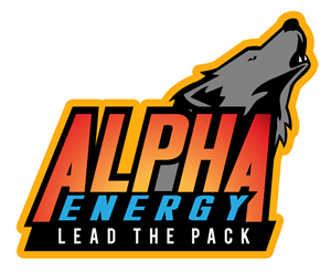 Logo Design by harwistudio