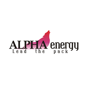 Logo Design by exfa