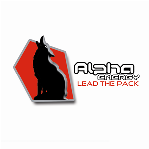 Logo Design by Design Ace