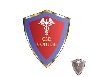 Logo Design by snykdev