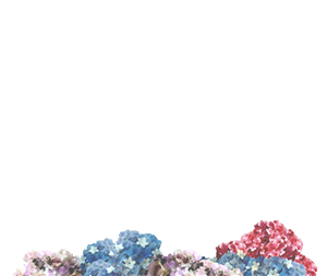 Graphic Design by NMiz