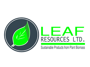 Logo Design by radzz