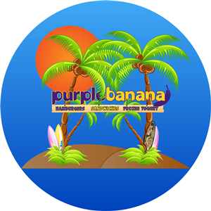 Logo Design by Zack Designers for Purple Banana | Design: #4171810