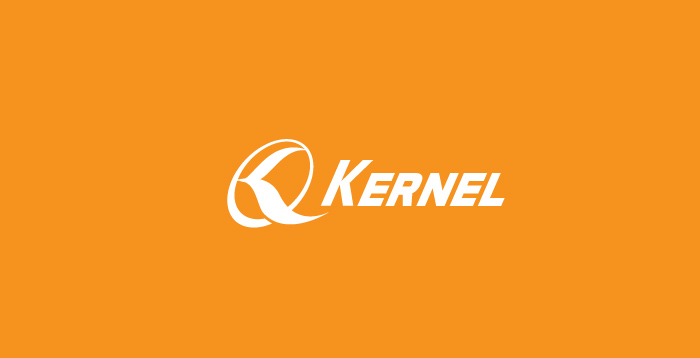 Logo Design by parshdelhi for Kernel, Inc. | Design #1189191