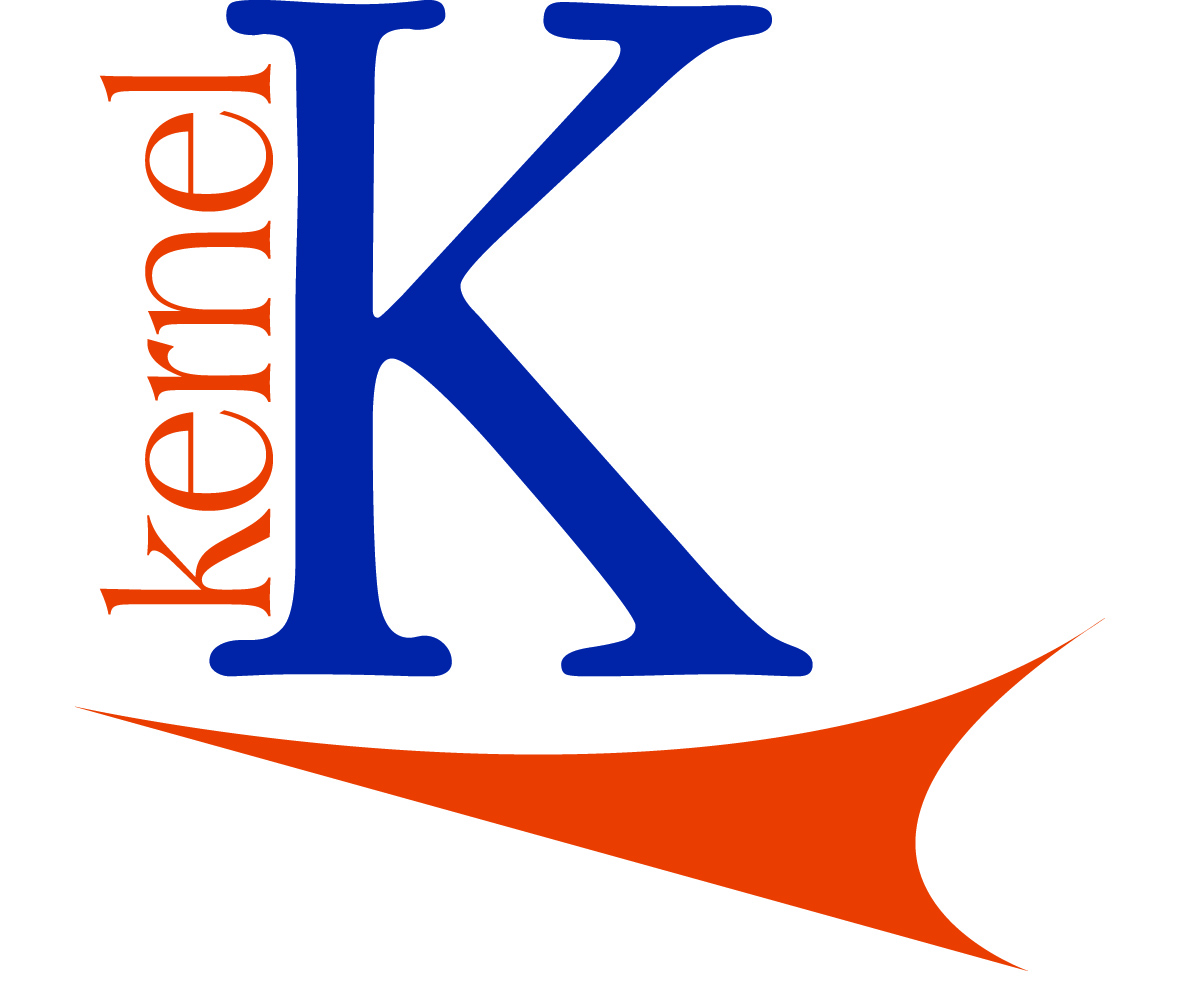 Logo Design by BeyondDesign for Kernel, Inc. | Design #1177692