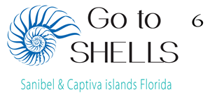 Logo Design by www.artstudio.gr for J.L. Martin Publishing, LLC | Design #4174480