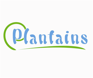 Logo Design by softvitals