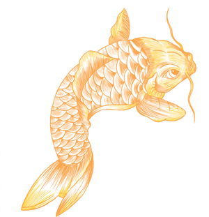 Illustration Design by igraorartemiz