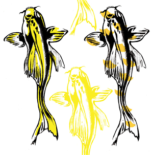 Illustration Design by Ann Kovalsky