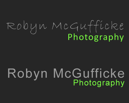 Logo Design by Max Thornton for Robyn McGufficke Photography | Design #157776