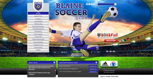 Web Design by TechWise for this project | Design #1166909