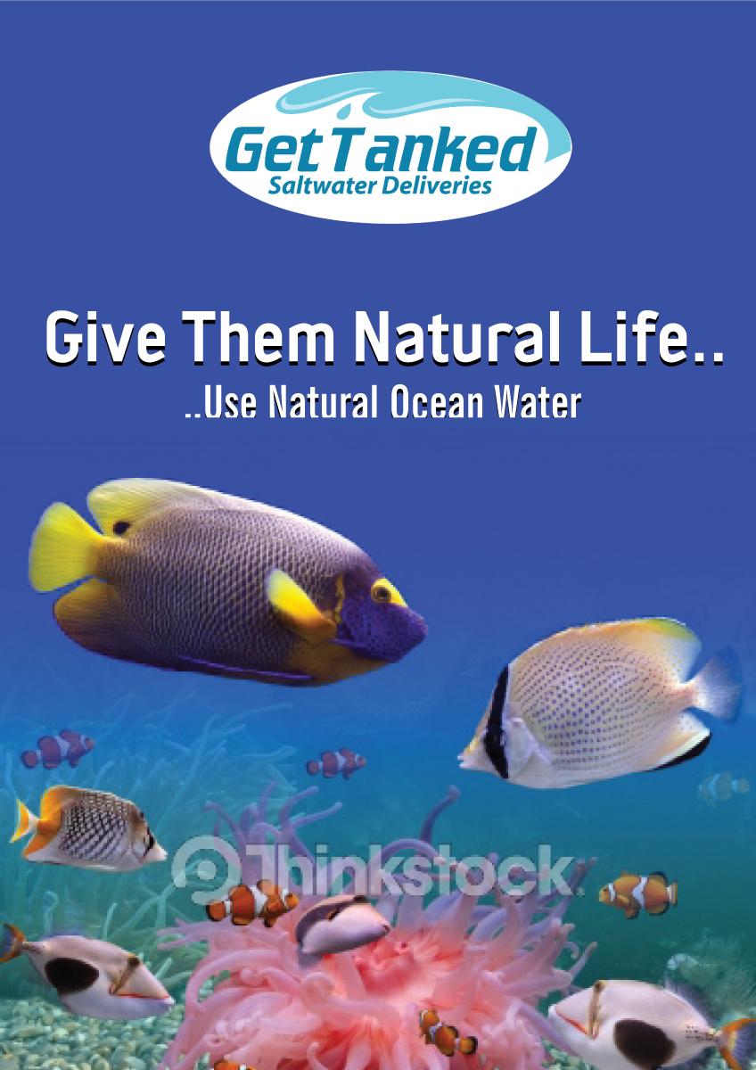 Poster Design by Sbss for Butterfly Skye | Design #1160729