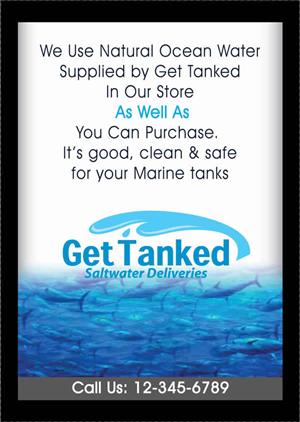 Saltwater In store poster design | Poster Design by Sbss
