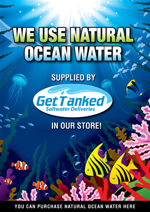 Saltwater In store poster design | Poster Design by creative.visuals