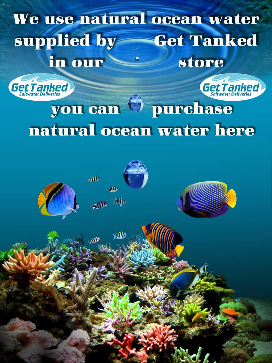 Poster Design by eagle eye for Butterfly Skye | Design #1176897