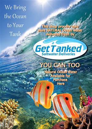 Poster Design by Terry Hamberg for Butterfly Skye | Design: #1192532