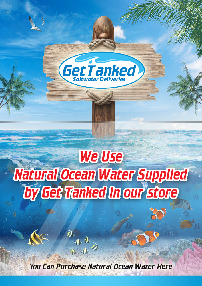 Diseño de Póster por Osprey Advertising para Butterfly Skye | Diseño #1177310