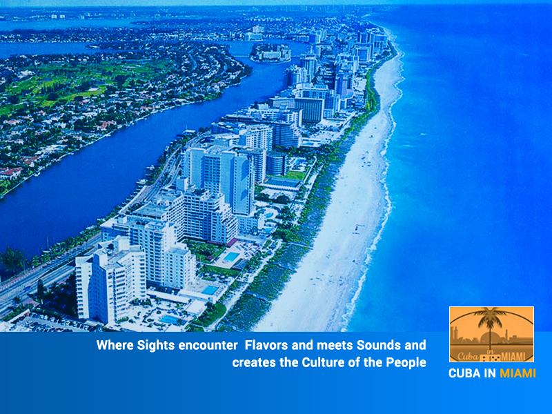 Graphic Design by Best Design Hub for this project | Design #4146313