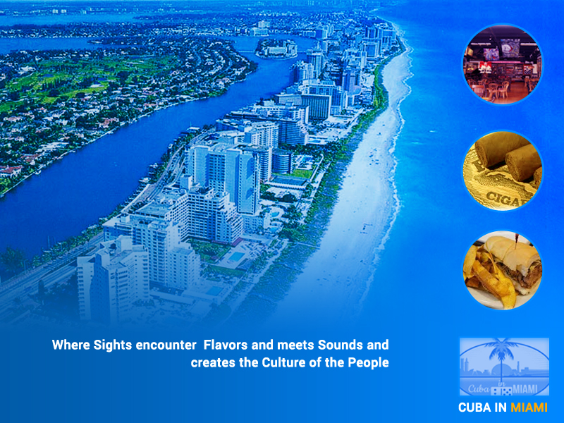 Graphic Design by Best Design Hub for this project | Design #4146344