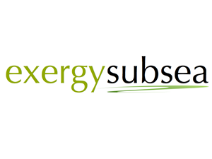 Logo Design by Ryan Sullivan