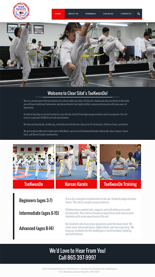 Design de Page d'Accueil par TheCodeWire pour ce projet | Design #4177194