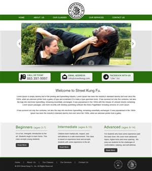 Diseño de Página de Aterrizaje por webxvision para este proyecto | Diseño: #4165664