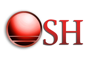 Logo Design by Vargcastle for Software Holdings | Design: #160900
