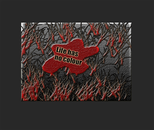 Logo Design by Tanvir Hyder Shuvro