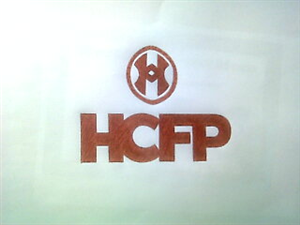 Logo Design by Mallory Blaauw
