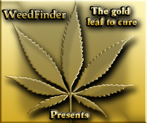 Banner-Design von Joao Rodrigues für J&J  | Design #1161939