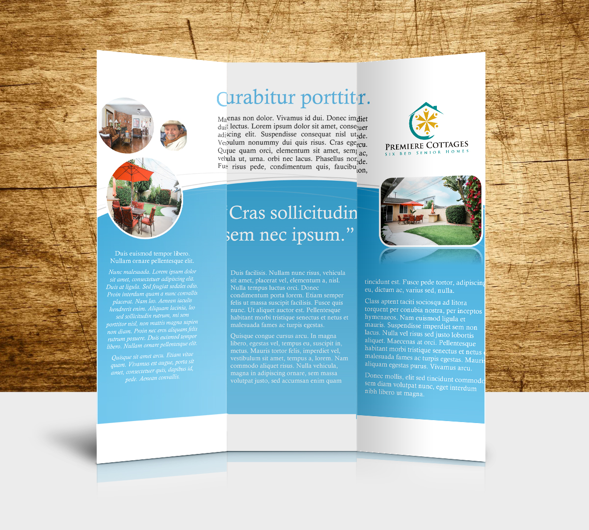 Brochure Design by Rohan Alexander for this project | Design #4169309