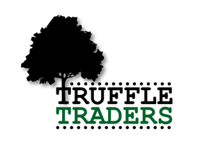 Logo Design by marco echanove