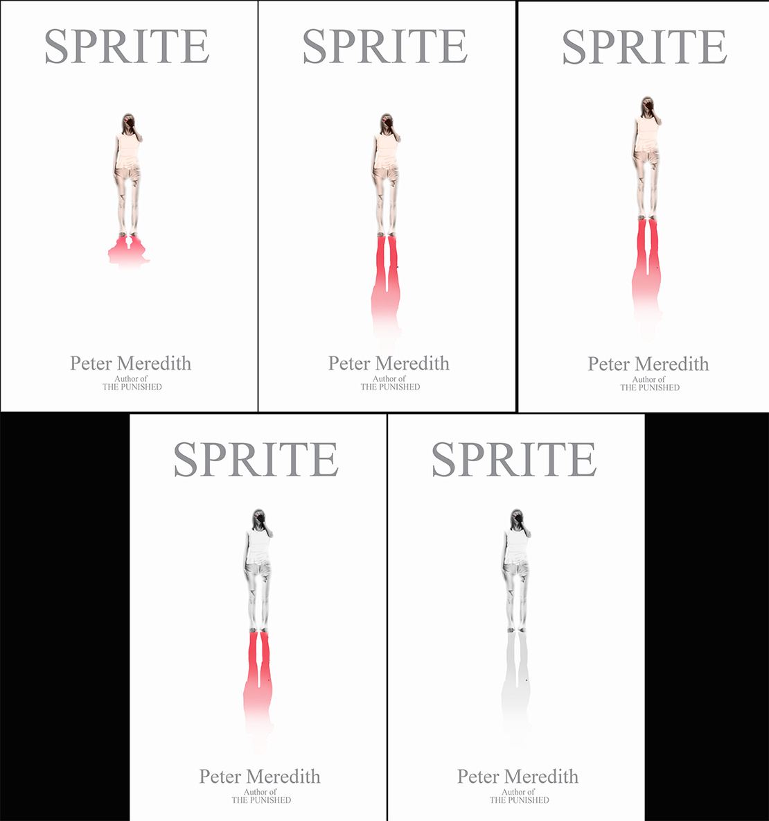 Book Cover Design by JR design for Peter Meredith | Design #1217227