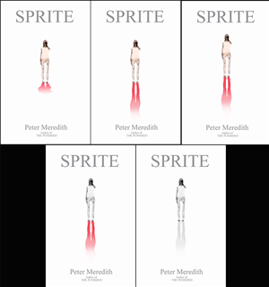 Book Cover Design by JR design for Peter Meredith | Design #1217227