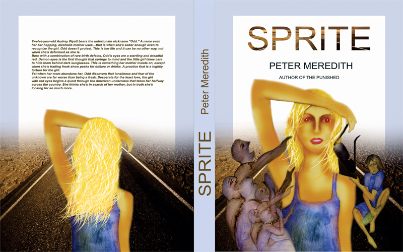 Book Cover Design by ev 21 for Peter Meredith | Design #1191237