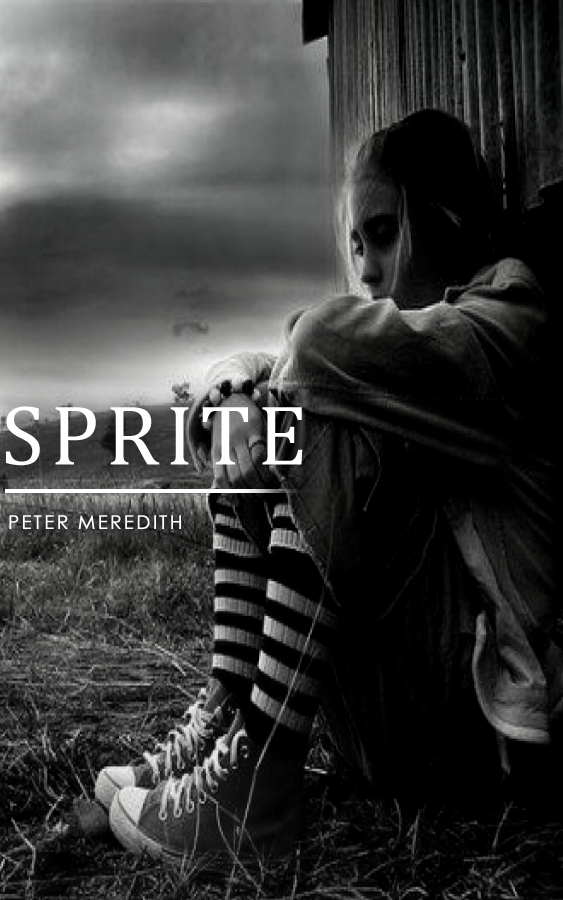 Design de Couverture de Livre par manju pour Peter Meredith | Design #1173905