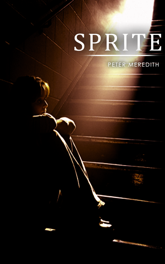 Design de Couverture de Livre par manju pour Peter Meredith | Design #1173932