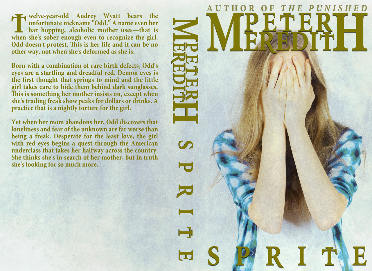 Book Cover Design by Kivistö Design for Peter Meredith | Design #1218188