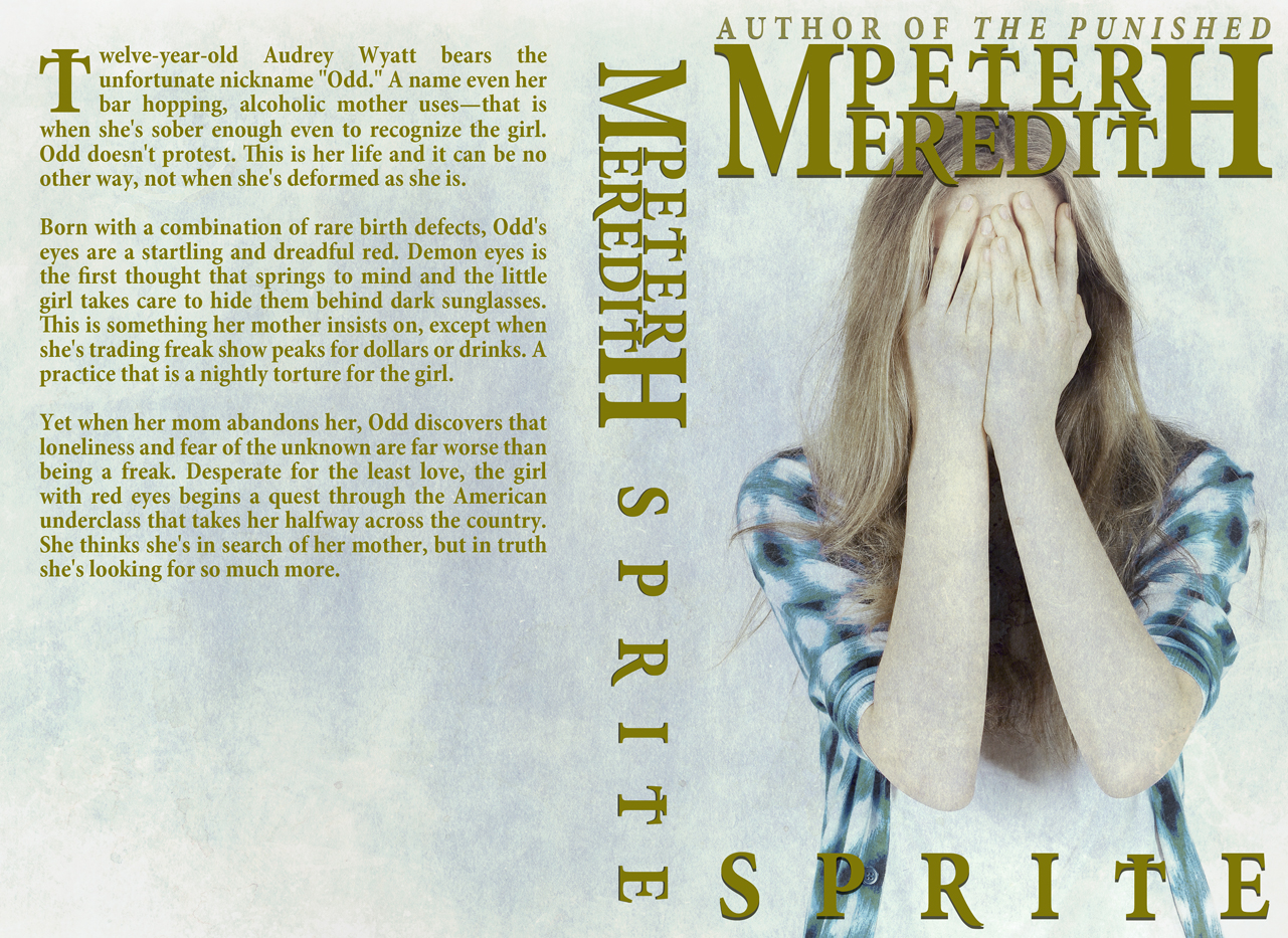 Book Cover Design by Kivistö Design for Peter Meredith | Design #1218193