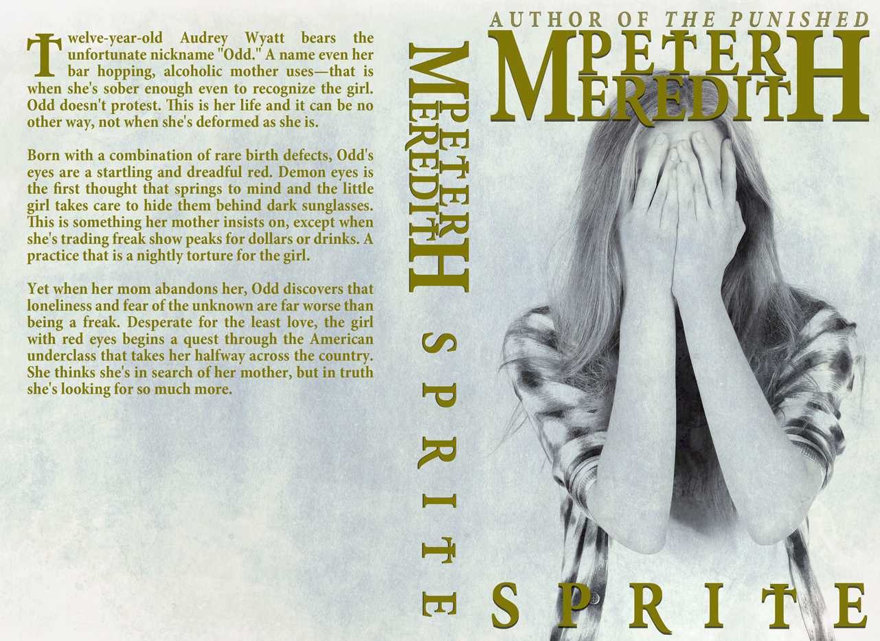 Book Cover Design by Kivistö Design for Peter Meredith | Design #1218199