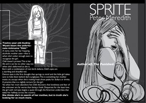 Book Cover Design by Serenita for Peter Meredith | Design: #1166321