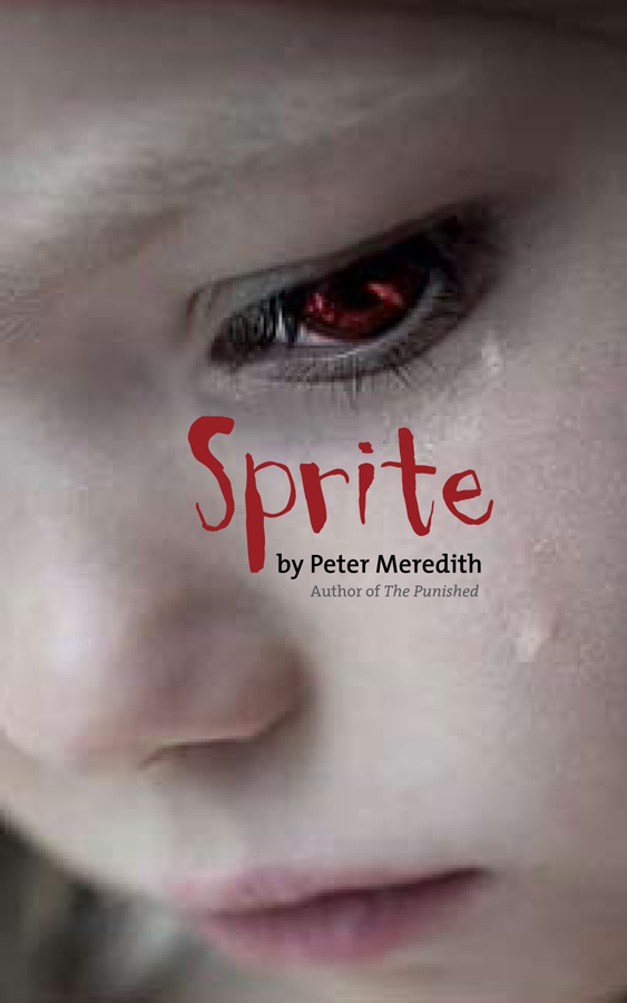 Book Cover Design by kellydesign for Peter Meredith | Design #1207287