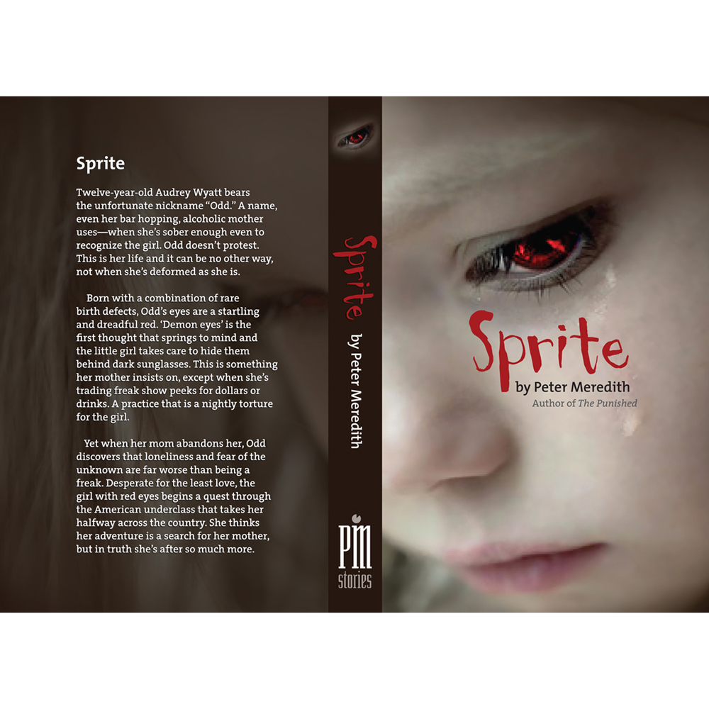 Book Cover Design by kellydesign for Peter Meredith | Design #1942178