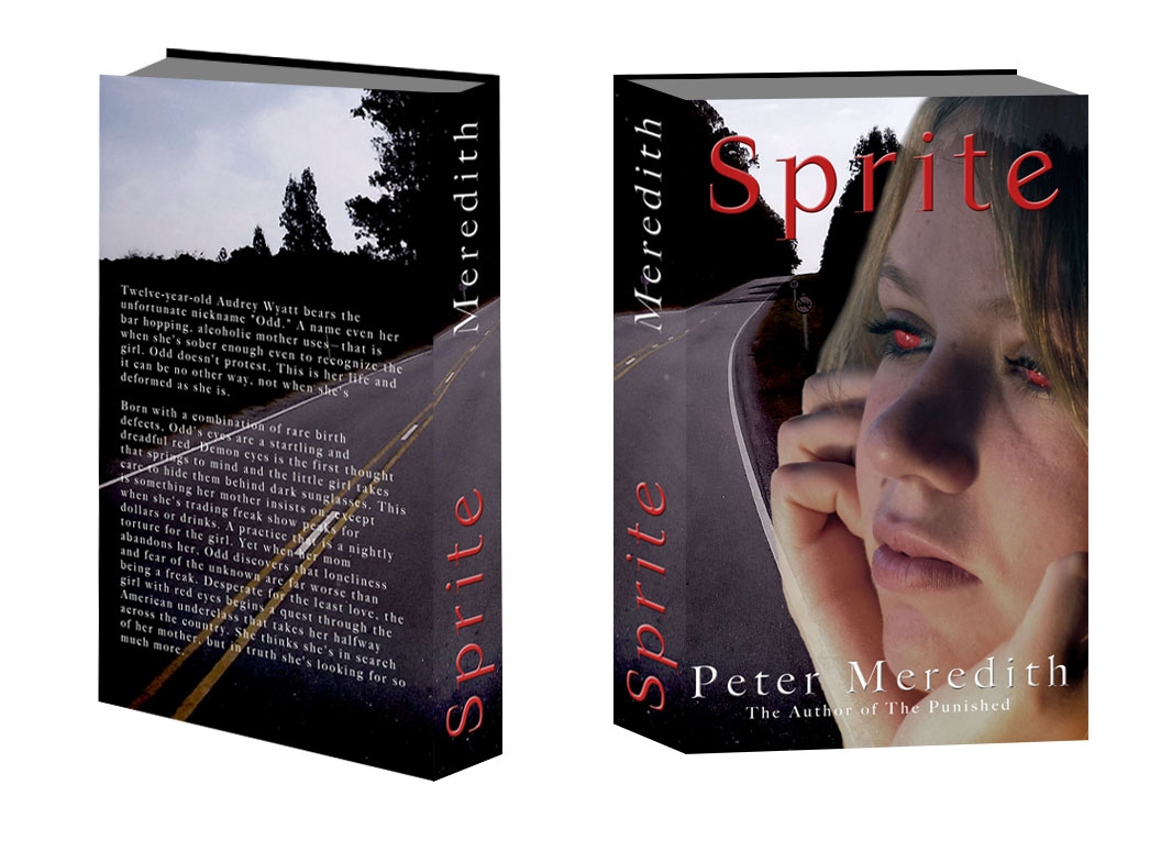 Book Cover Design by Jess12090 for Peter Meredith | Design #1207378